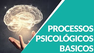 PROCESSOS PSICOLOGICOS BASICOS [upl. by Oulman403]