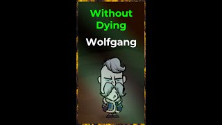 Wolfgangsio 1 year 2  Dont Starve Together [upl. by Asiak371]