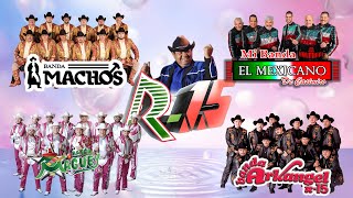 LA HISTORIA DE LAS GRANDES TECNOBANDAS BANDA MACHOS BANDA MAGUEY EL MEXICANO ARKANGEL R15 [upl. by Coleen]