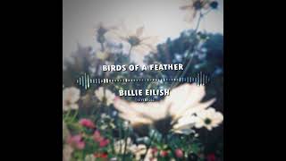 Birds of a feather edit audio  Billie Eilish [upl. by Conley]