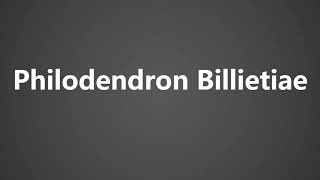 How To Pronounce Philodendron Billietiae [upl. by Orly334]