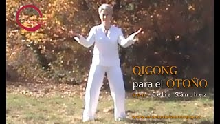 El Arte de la Energía  Qigong para el otoño [upl. by Aribold]