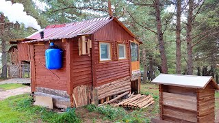 Hiding Alone in the Forest Building a Woodshed Making Delicious Food Preparing for Winter [upl. by Aimo]