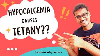 Hypocalcemia causes tetany WHY [upl. by Maurilla]