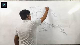 OZONOLYSIS 12chemistry neet iit UPSC [upl. by Nahsad]