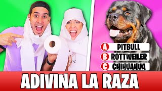 ENRROLLAMOS CON PAPEL DE BAÑO AL QUE NO ADIVINE LA RAZA DEL PERRO [upl. by Grenier]