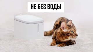 Революция в мире животных Автопоилка для кошек и собак Mijia Smart Pet Water Dispenser XWWF01MG [upl. by Siednarb]