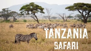 TANZANIA SAFARI  4 days [upl. by Ihtac]