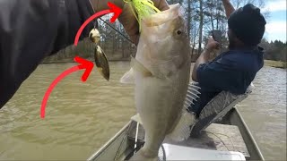 HOW TO CATCH LARGEMOUTH BASS IN A LAKE  SPORTSMENHERE GEORGIA EDITION bassfishing bass fishing [upl. by Gray]