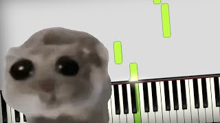 Sad Hamster Meme music on piano [upl. by Zacks]