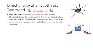 Ch04Bau Dependent Variable and Directionality [upl. by Krall]