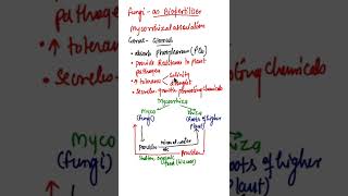 Mycorrhiza as BiofertilisersMycorrhizal associationMycorrhiza FungiRole of Mycorrhiza biology [upl. by Hilliary]