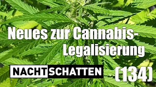 Neues zur CannabisquotLegalisierungquot  Nachtschatten Television 134 [upl. by Anemaj924]