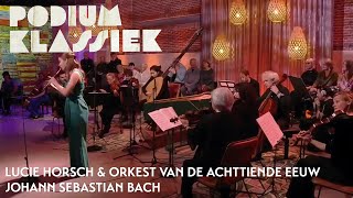 Lucie Horsch amp Orkest van de Achttiende Eeuw  Bach  Klavecimbelconcert BWV 1053  Podium Klassiek [upl. by Mattias]