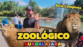 Así es el ZOOLÓGICO de GUADALAJARA 2024 Guía Completa Precios y mas [upl. by Bilicki]