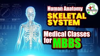 NEXT MEDICO  MBBS  HUMAN ANATOMY  Lecture  2 Skeletal system [upl. by Harcourt]