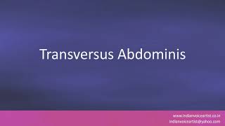 Pronunciation of the words quotTransversus Abdominisquot [upl. by Rurik]