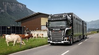 Scania Schweiz AG Kalender 2016 August [upl. by Weissman778]