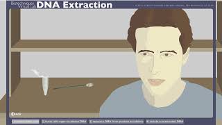 DNA EXTRACTION Virtual Lab [upl. by Reinertson]