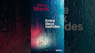 Olivier Norek Entre deux mondes  Livre Audio  Francais Complet [upl. by Okiam]