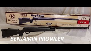 CHRONOGRAPH BENJAMIN Prowler 22 SHOOTING Cal Break Barrel Pellet Air Rifle  Gas Piston [upl. by Kidder]