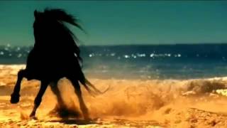 Gipsy Kings Viento Del Arena YouTube [upl. by Sibel]