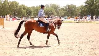 COPA QUERETARO HIPICO BALVANERA JUNIO 2016 [upl. by Hughett]