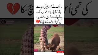 Mohabbat Na Bech Saka 🥺💔Animal Love Quotes  Aqwal e zareen  Heart touching  Judai status shorts [upl. by Mure740]