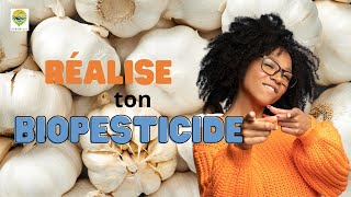 Biopesticide insecticide fongicide naturel  conseil en bonus [upl. by Gimble]