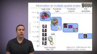 Principles of fMRI Part 1 Module 10a Spatial and temporal resolution [upl. by Mossman]