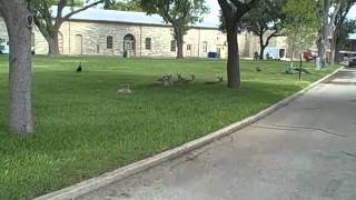 Video tour of Fort Sam Houston  IMCOM Family MWR Public Affairs 110615 [upl. by Cooke635]