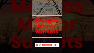 Mongos Manor Sunsets Nov 25 2024 [upl. by Anoirb]