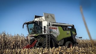 🇵🇱Koszenie Kukurydzy Na Ziarno 2024🔥Claas Trion 640 W Akcji🔥UR Kamwio🔥 [upl. by Eberhard]