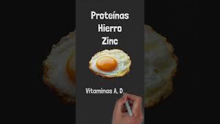 Principales nutrientes de los huevos salud cienciaabierta huevos proteinas huevo nutrientes [upl. by Noived]