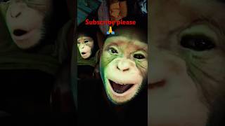 Funny Monkey Face 🐒 monkey face trending ytshorts [upl. by Rustin]