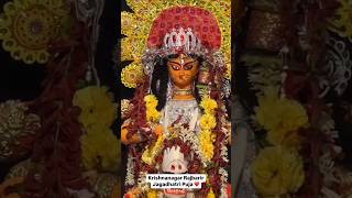 Krishnanagar Rajbarir Jagadhatri Puja 2024 😍🙏 jagadhatripuja rajbari krishnanagar shorts [upl. by Airretnahs]