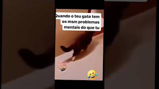 gatos memes Quando teu gato tem os mesmo problemas mentais que você [upl. by Narmi]