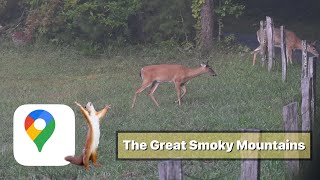 Unforgettable Adventures In The Majestic Great Smoky Mountains Episode 1 Of Our Journey [upl. by Conner]