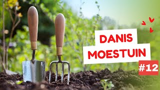 Danis moestuin 12 september 2022  zelf tomatensauce inkoken en salie en pepermunt likeur maken [upl. by Bulley]