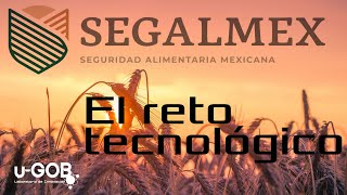 Resolver la encrucijada tecnológica de Segalmex [upl. by Anot]