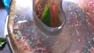 Vegan Foods Water Melon Skin amp Beet Juice Quickie [upl. by Eadwina]