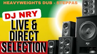 DJ NrY Live amp Direct Heavyweights Reggae Dub amp Steppas [upl. by Padraig]