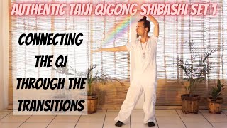 Taiji Qigong Shibashi set 1 connecting the Qi [upl. by Nalyad]