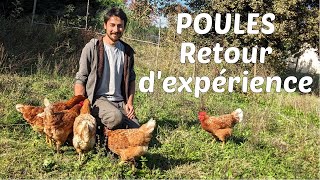 Débuter avec les poules  les bases pour les rendre heureuses [upl. by Aimal]