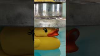 Poor duck under hydropic presstrending shortsscience experiment [upl. by Tenney]