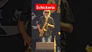 Saxophon solo zu Schickeria von Spider Murphy Gang shorts musik saxophone unplugged [upl. by Akerdna]