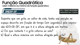 UNESPSP  Suponha que um grilo ao saltar do solo tenha sua posição no espaço descrita em função [upl. by Senn]