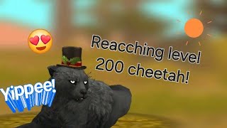 Reaching level 200 Cheetah🐆  in •WildCraft• [upl. by Aryamo]