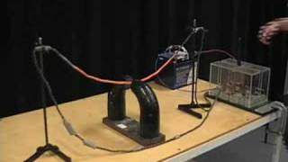 MIT Physics Demo  Jumping Wire [upl. by Monjan]