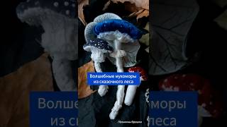 В каком сказочном лесу родились такие грибы Лёлькины брошки точно знают где взять такие грибы [upl. by Burris]